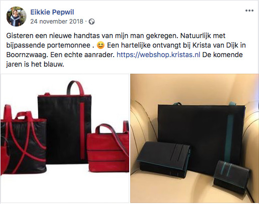 Facebook testimonial Derry Pepplinkhuizen.jpg