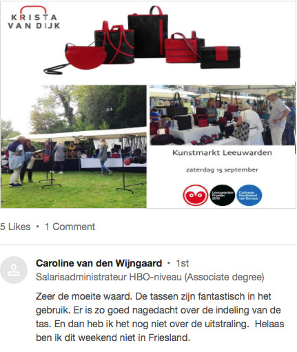 recensie van Caroline van den Wijngaard instagram post facebook promotie.png